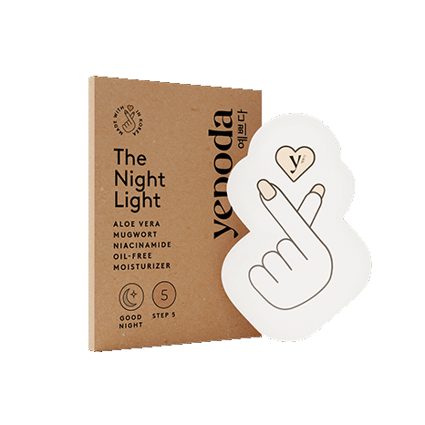 The Night Light - Campioncino